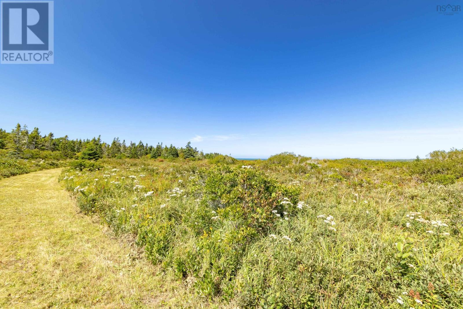 Lot 2, Highway 1, Beaver River, Nova Scotia  B5A 4A5 - Photo 12 - 202624759