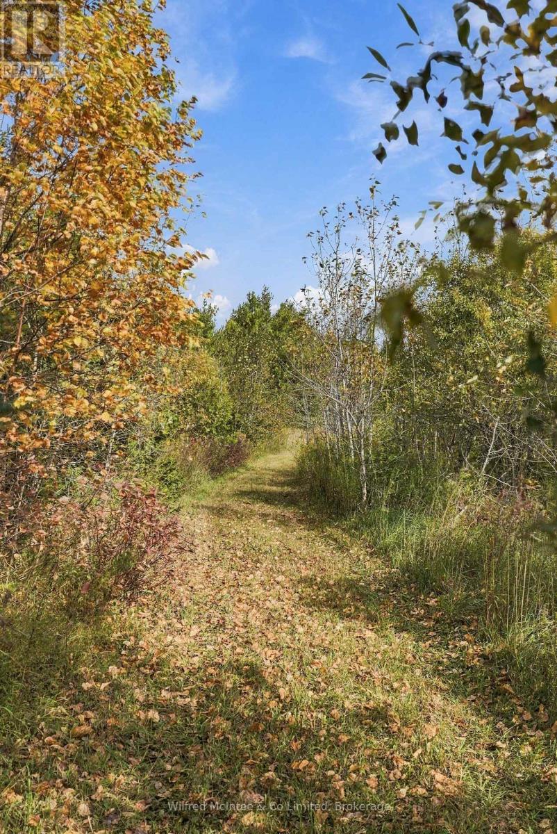 764059 240 Side Road, Melancthon, Ontario  L9V 2P4 - Photo 36 - X14030988