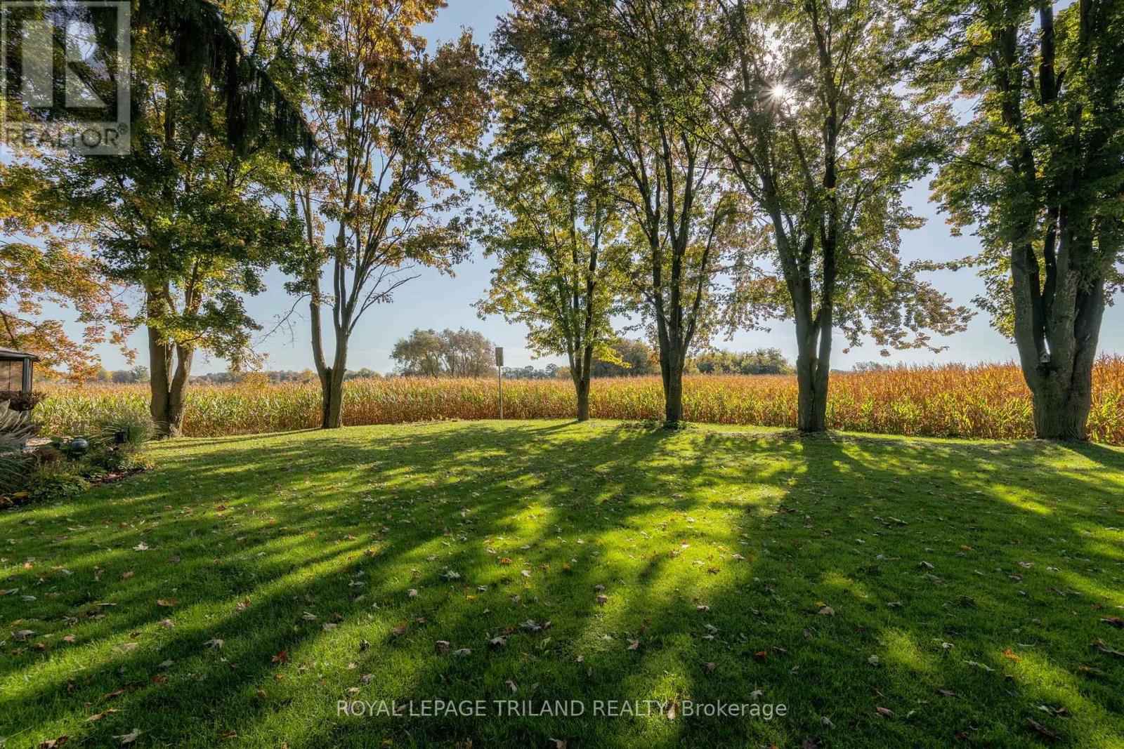 17459 Evelyn Drive, Thames Centre, Ontario  N0M 2P0 - Photo 6 - X14031108