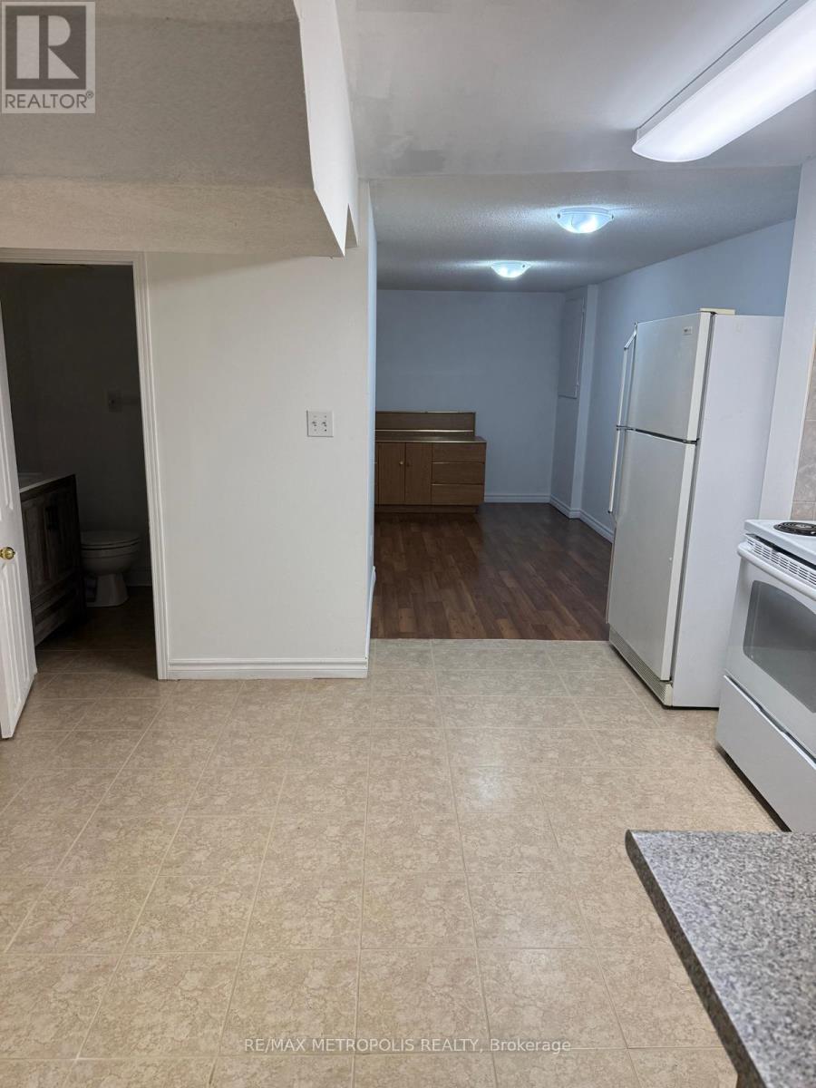 Basement - 116 Douglas Haig Drive, Markham, Ontario  L3S 1Z4 - Photo 3 - N14031318