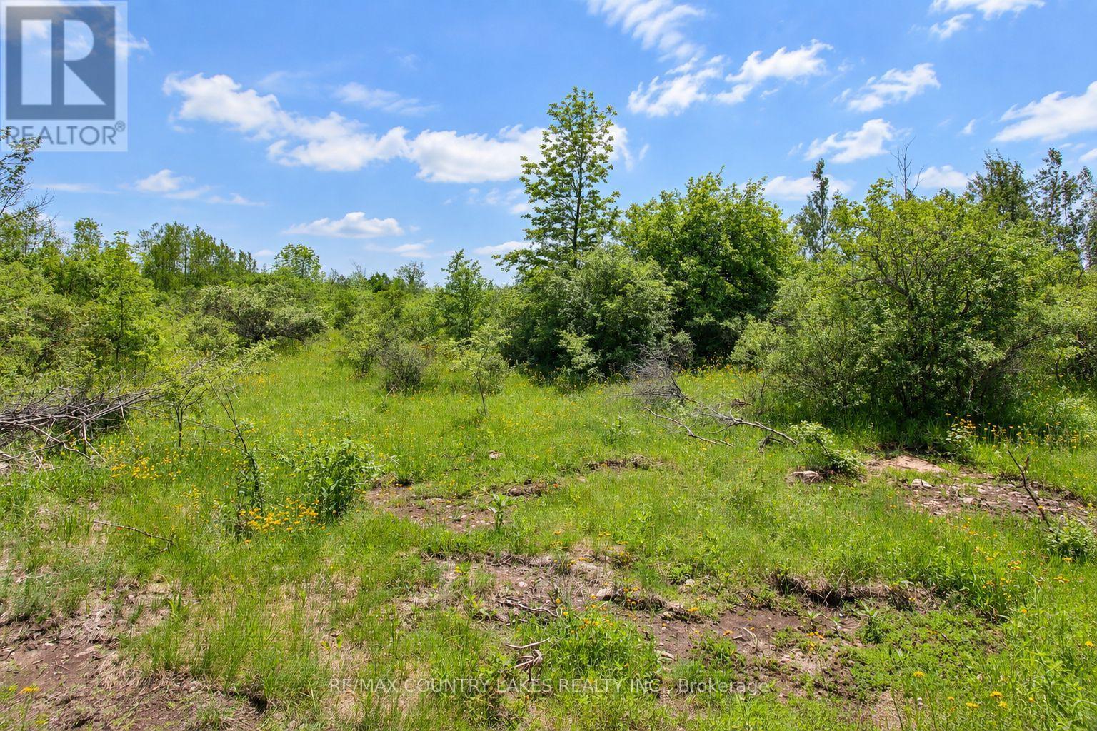 Lt25 Ramblewood Trail, Kawartha Lakes, Ontario  K0M 2B0 - Photo 15 - X13797326