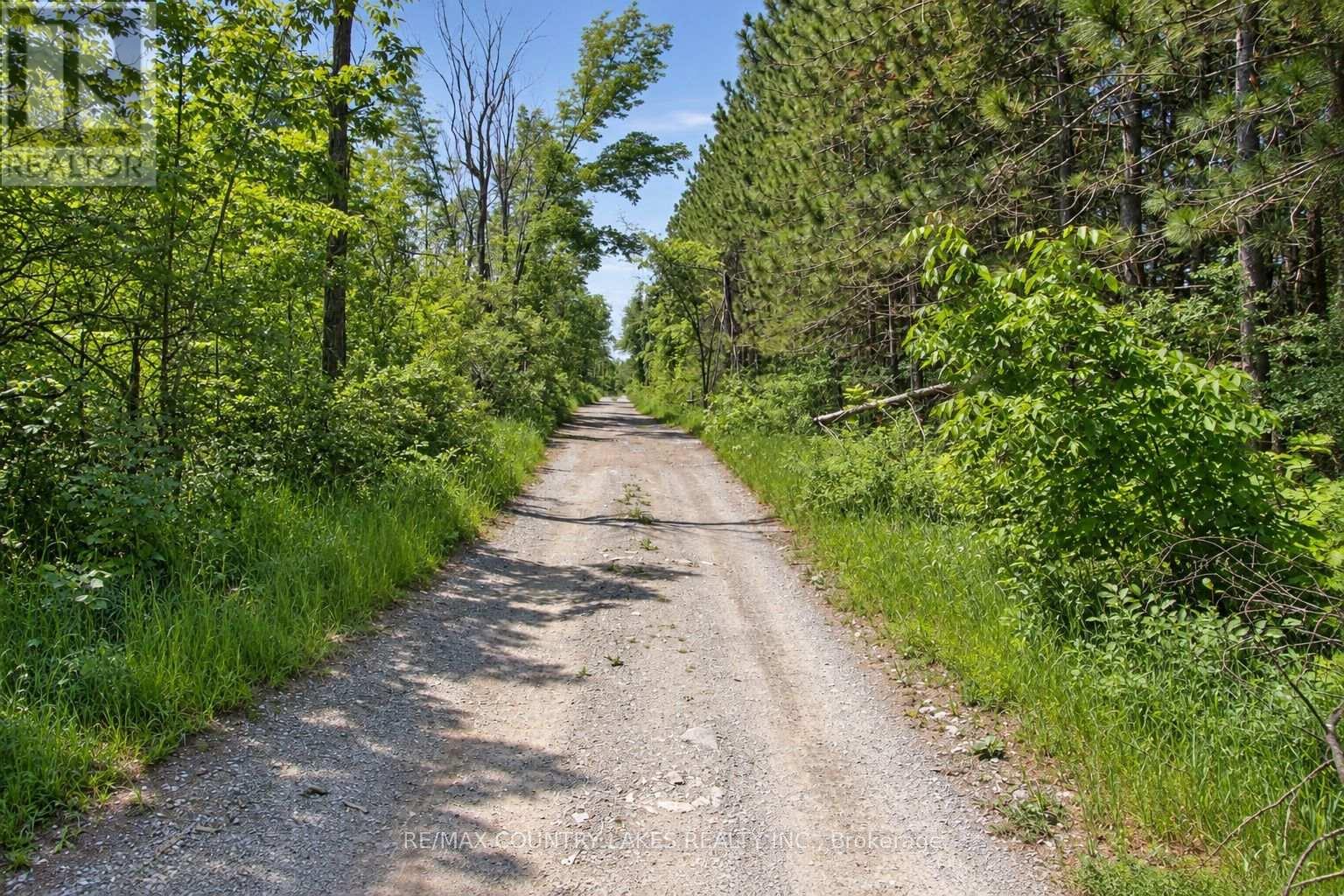 Lt25 Ramblewood Trail, Kawartha Lakes, Ontario  K0M 2B0 - Photo 17 - X13797326