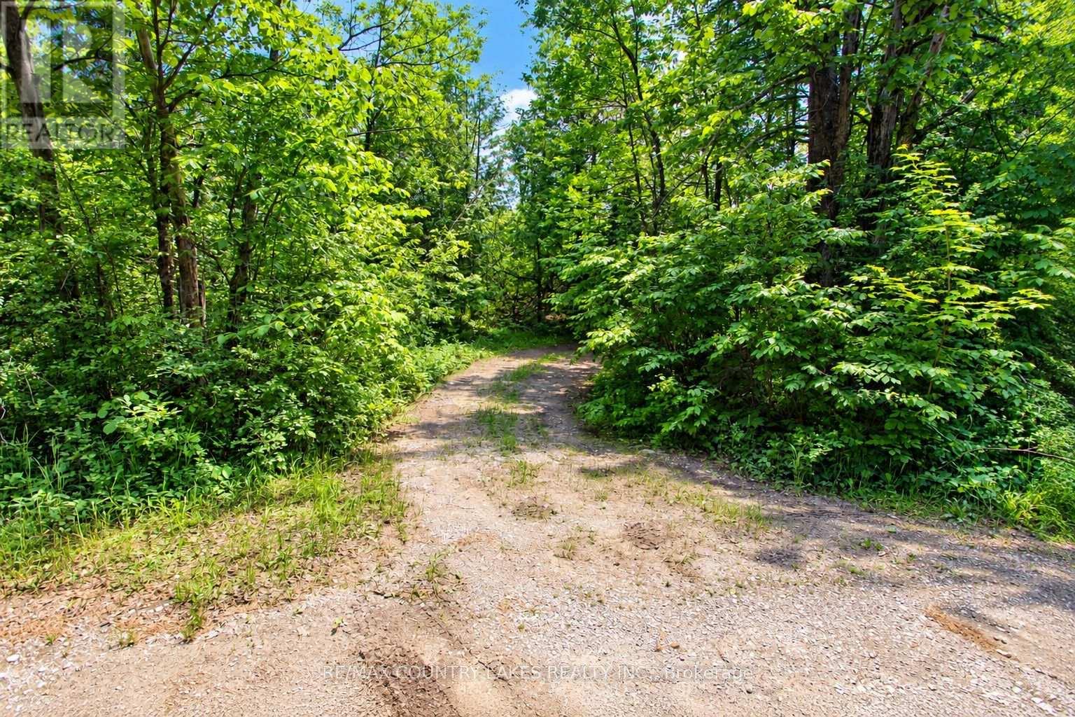 Lt25 Ramblewood Trail, Kawartha Lakes, Ontario  K0M 2B0 - Photo 11 - X13797326