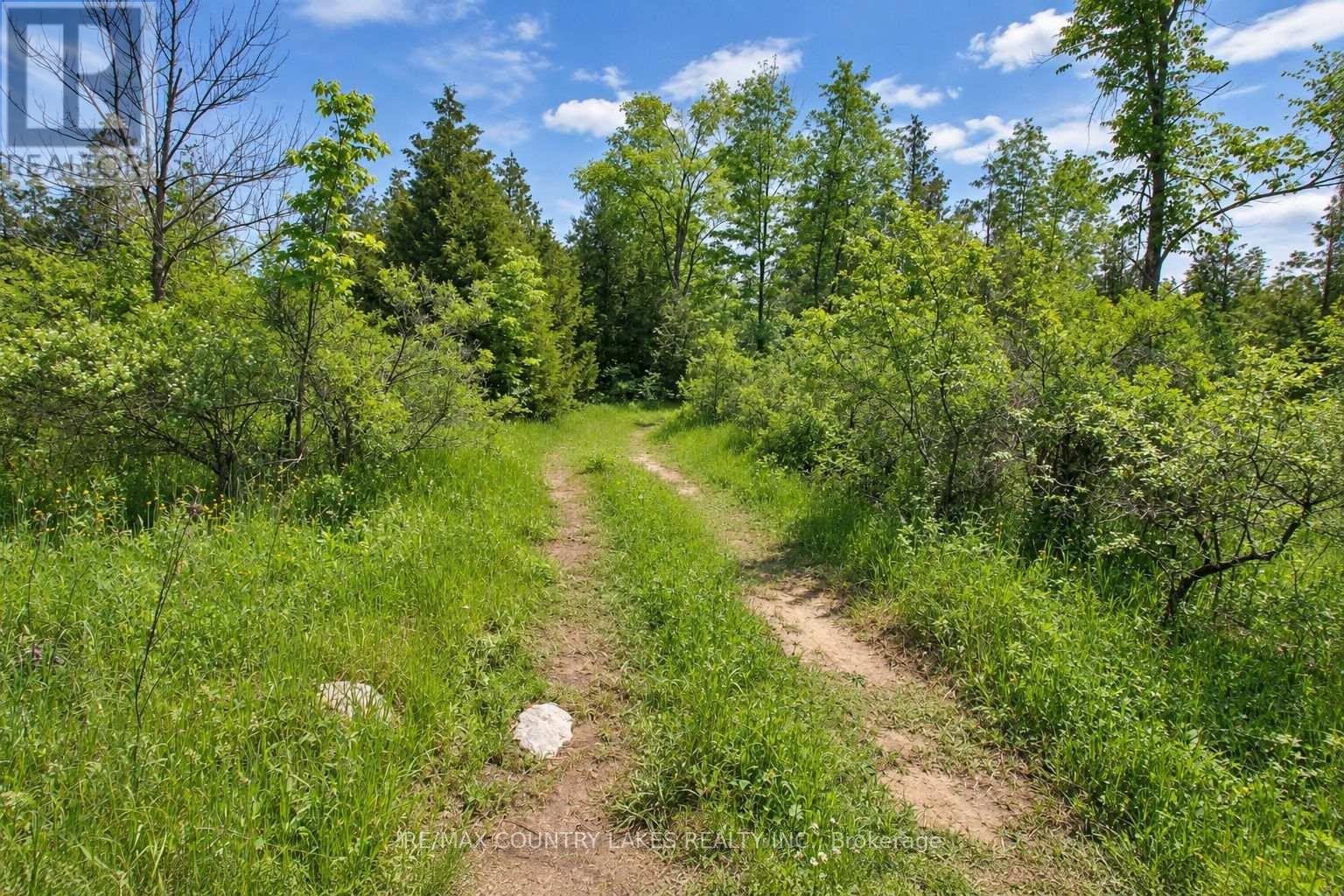 Lt25 Ramblewood Trail, Kawartha Lakes, Ontario  K0M 2B0 - Photo 13 - X13797326