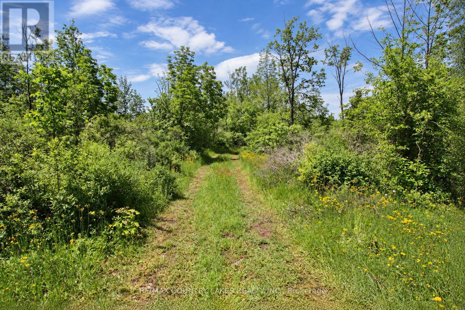 Lt25 Ramblewood Trail, Kawartha Lakes, Ontario  K0M 2B0 - Photo 4 - X13797326