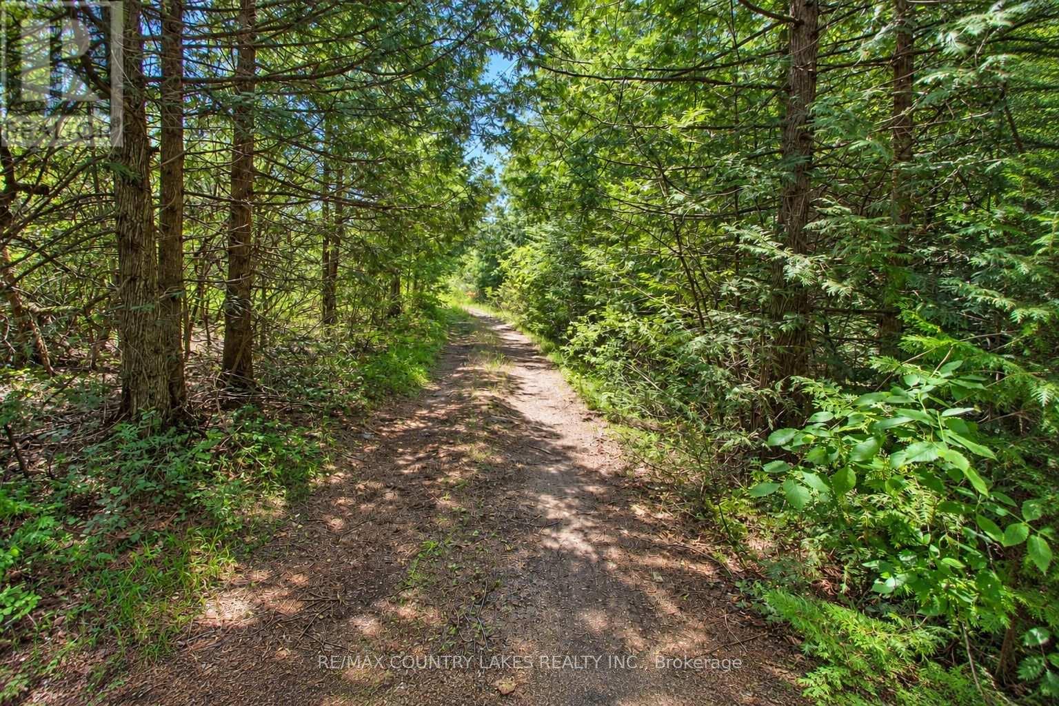 Lt25 Ramblewood Trail, Kawartha Lakes, Ontario  K0M 2B0 - Photo 14 - X13797326