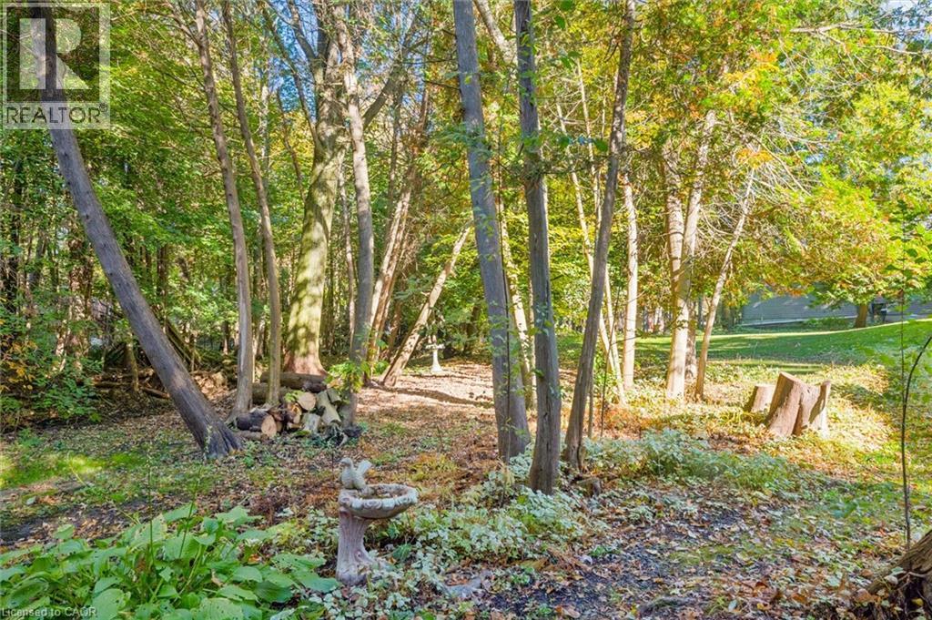 42 Greenwood Road, Bloomingdale, Ontario  N0B 1K0 - Photo 46 - 40870647