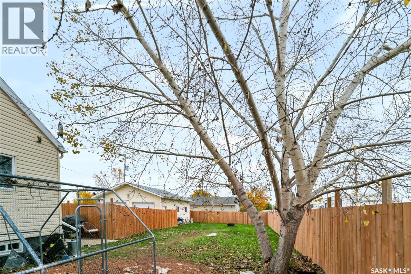 205 Washington Avenue, Hanley, Saskatchewan  S0G 2E0 - Photo 30 - SK051047
