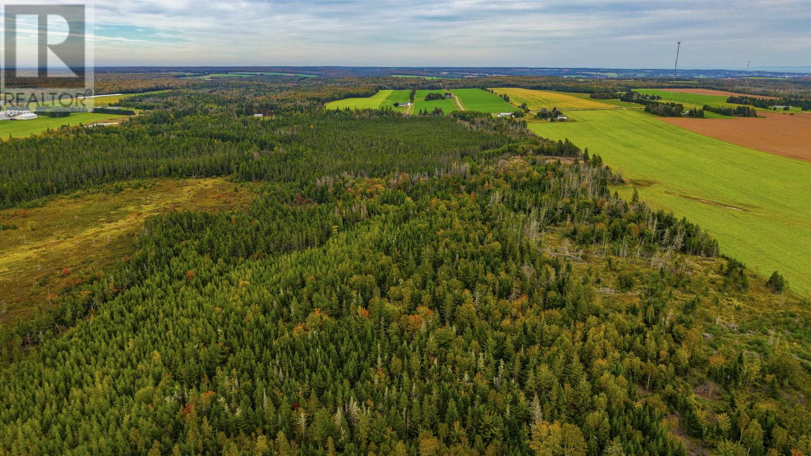 479 Bear River Road, Bear River, Prince Edward Island  C0A 2B0 - Photo 4 - 202529166