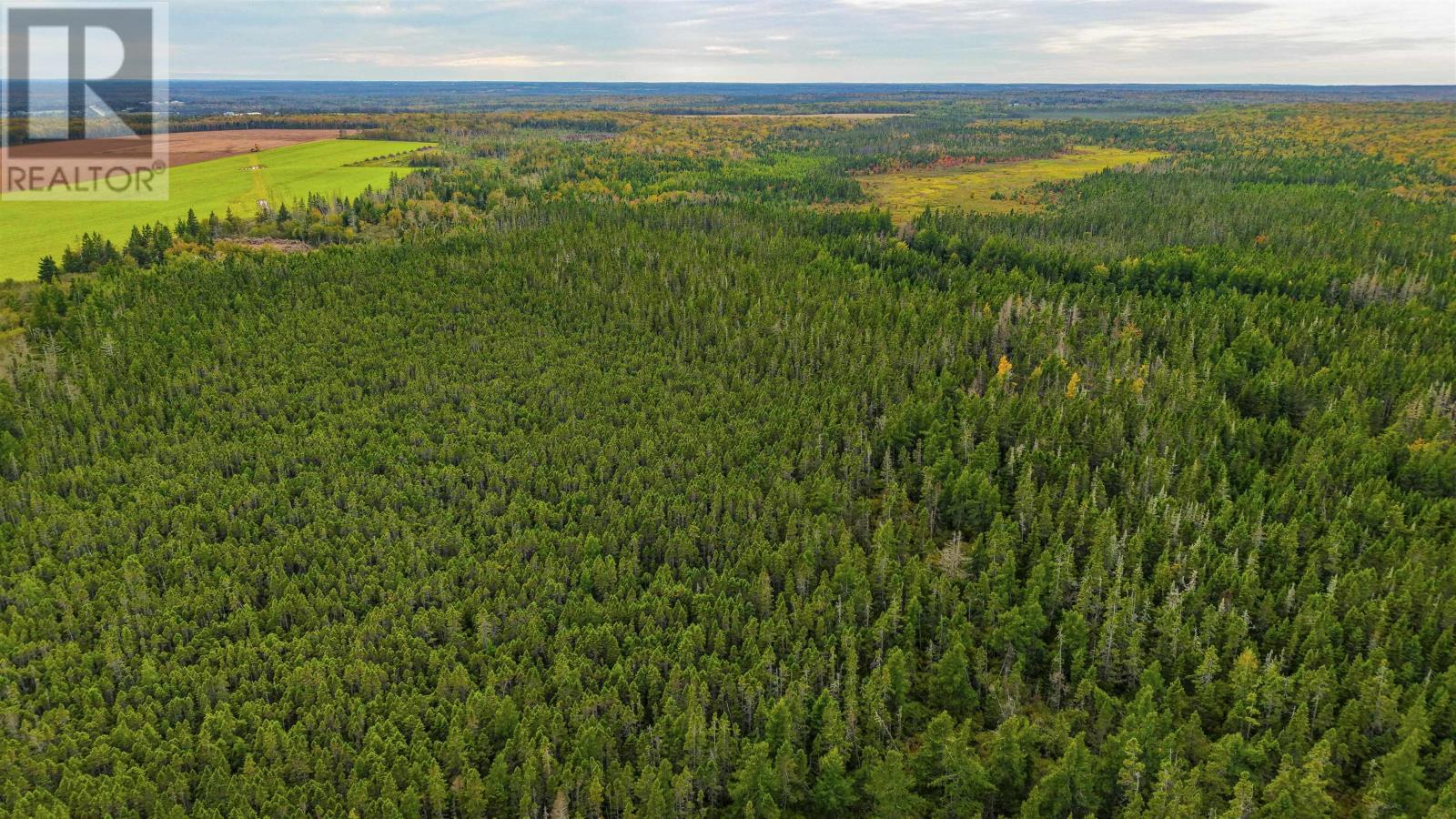 479 Bear River Road, Bear River, Prince Edward Island  C0A 2B0 - Photo 6 - 202529166