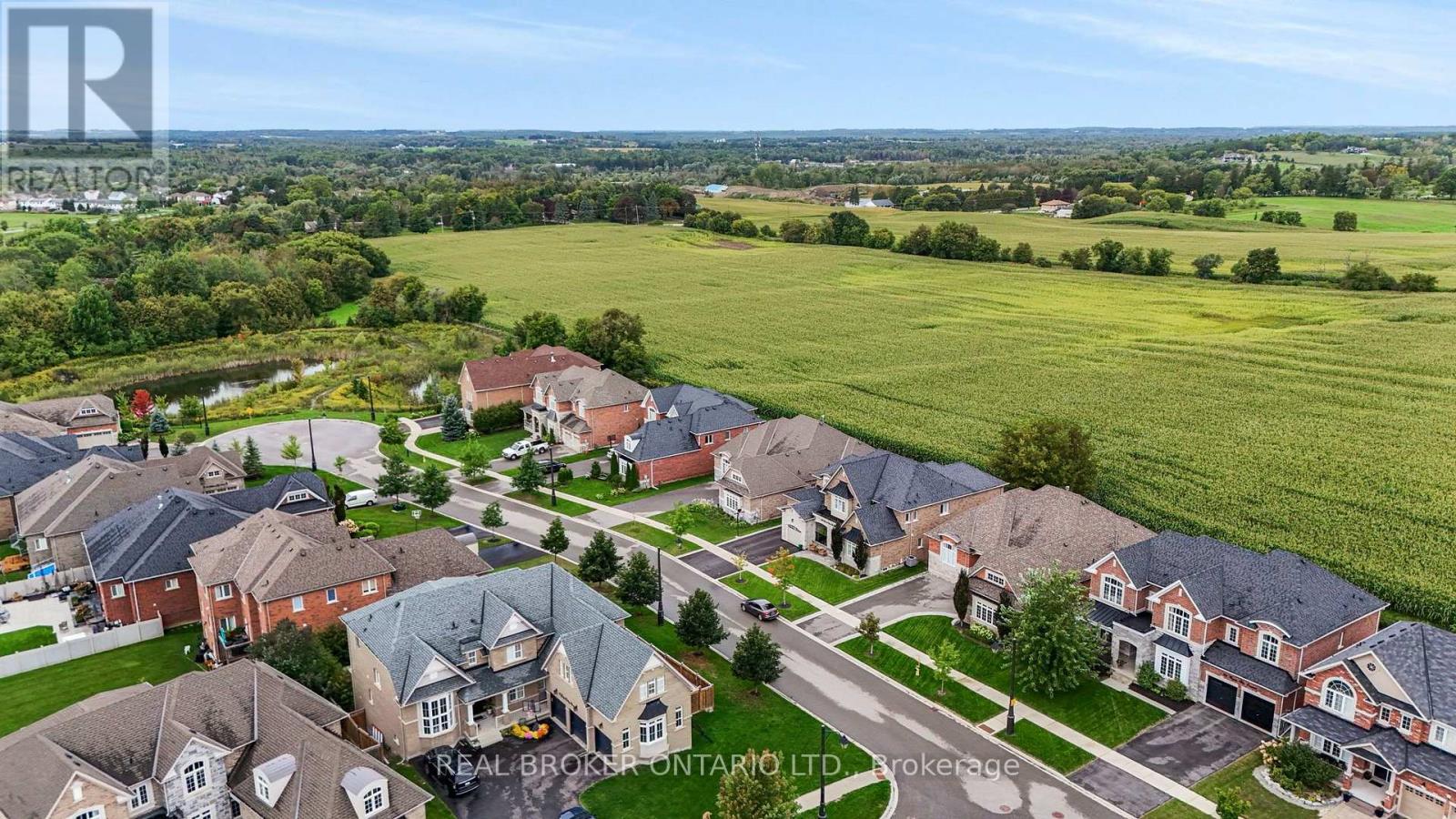 64 Manor Glen Crescent, East Gwillimbury (Mt Albert), Ontario  L0G 1M0 - Photo 46 - N14032006