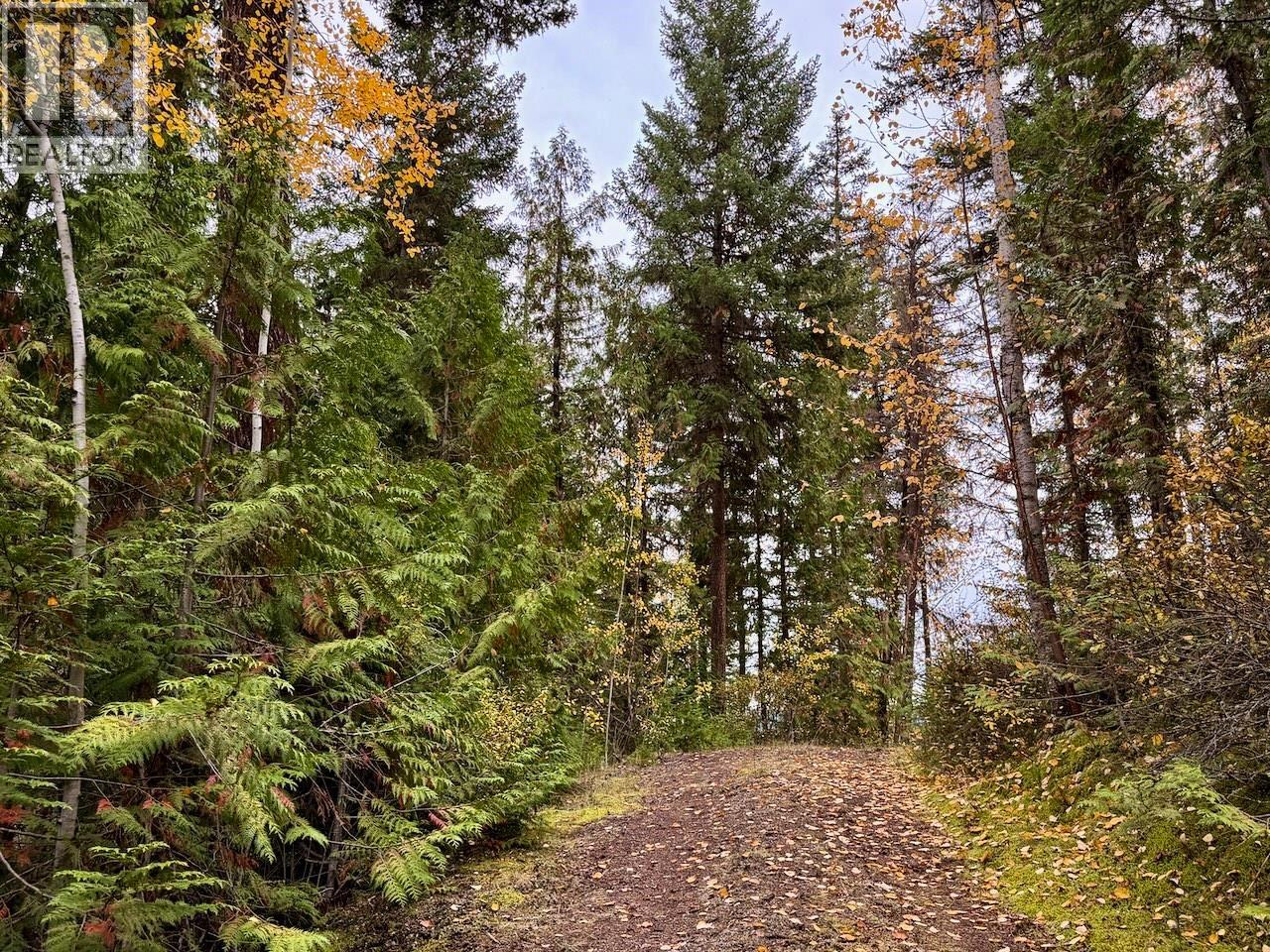 3611 Canim Place, Canim Lake, British Columbia  V0K 1J0 - Photo 10 - R3175194