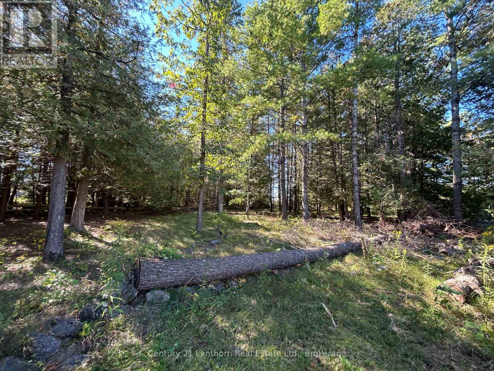 67 Rockhaven Crescent, Marmora And Lake, Ontario  K0K 2M0 - Photo 30 - X14032256