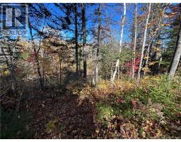 LOT Allée des Poulamons, Bertrand, New Brunswick