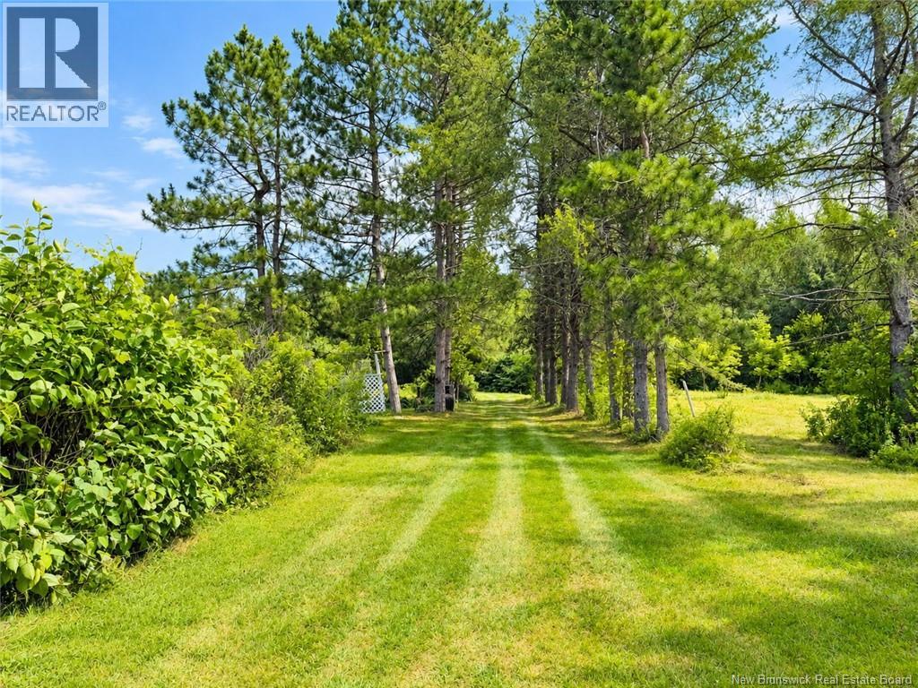 21 Horton Creek Road, Bay Du Vin, New Brunswick  E1N 5P1 - Photo 26 - NB149451
