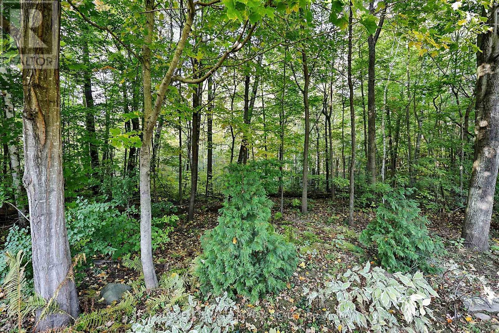5 Hilliard Court, Caledon, Ontario  L7C 1R3 - Photo 35 - W14030556