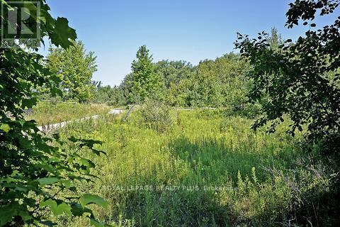 57 Severn Drive, Guelph, Ontario  N1E 0M9 - Photo 30 - X14032774