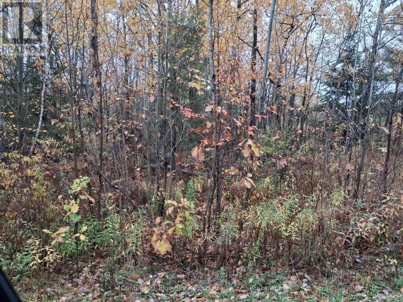 0 BEAR CREEK ROAD, Callander, Ontario