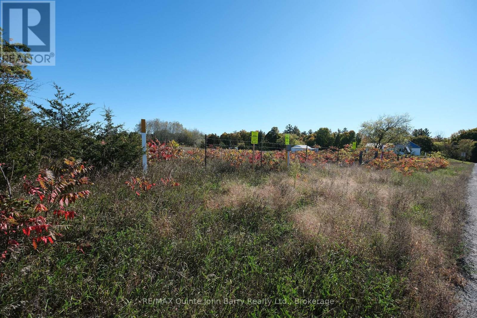 190 Downs Road, Quinte West, Ontario  K8V 5P6 - Photo 44 - X13879002