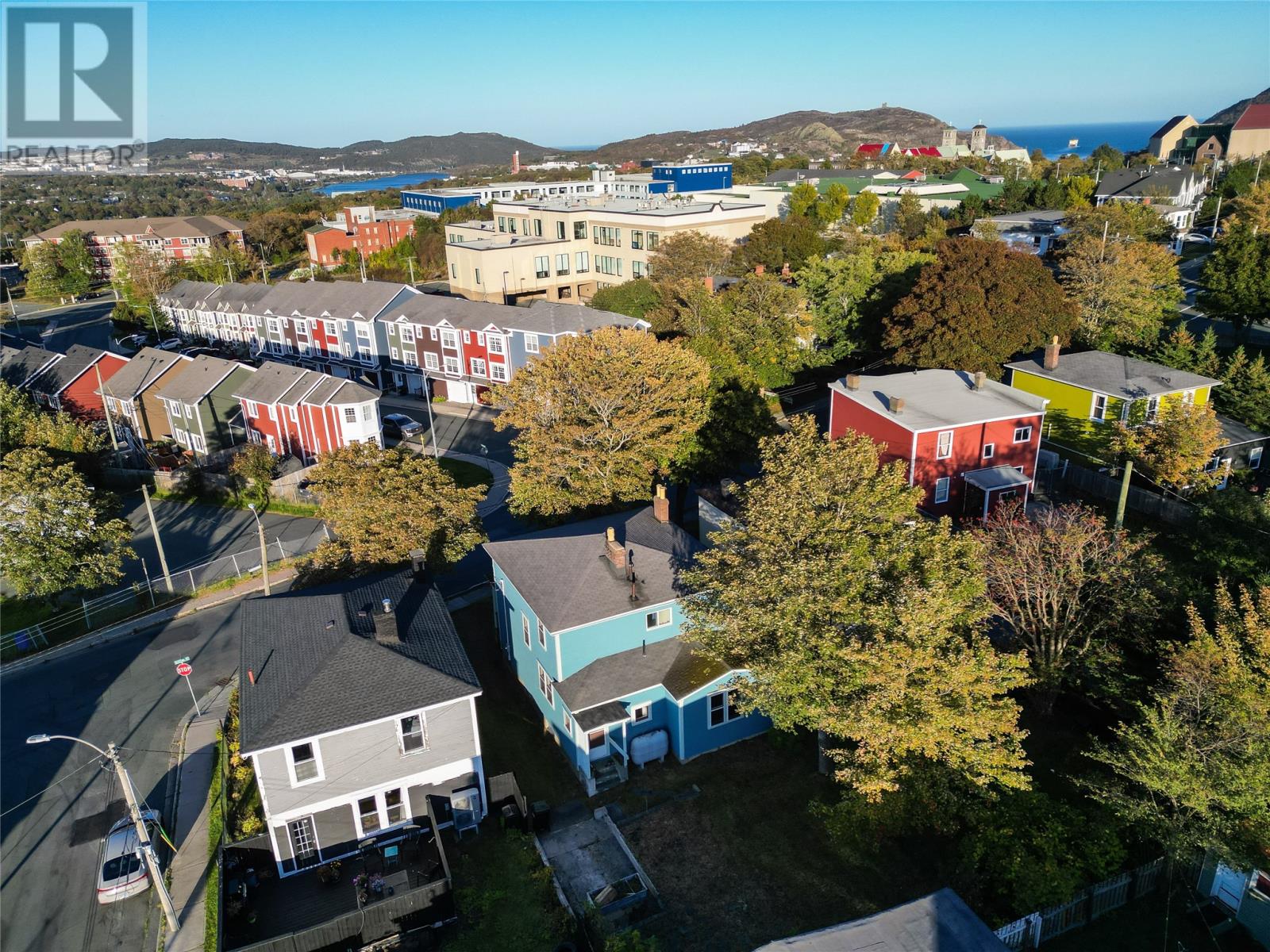 55 Newtown Road, St. John's — photo 3