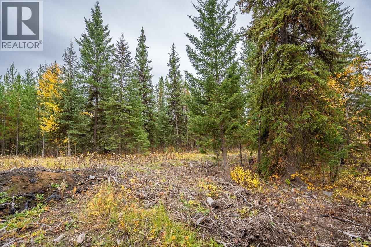 6301 Archie Meadow Road, Forest Grove, British Columbia  V0K 1M0 - Photo 10 - R3106936