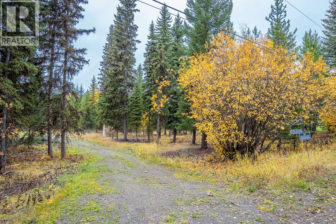 6301 Archie Meadow Road, Forest Grove, British Columbia  V0K 1M0 - Photo 3 - R3106936