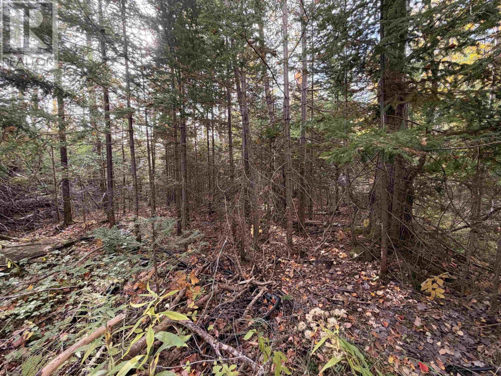 Lot 9 Brule Shore Road, Brule Shore, Nova Scotia  B0K 1V0 - Photo 7 - 202625344