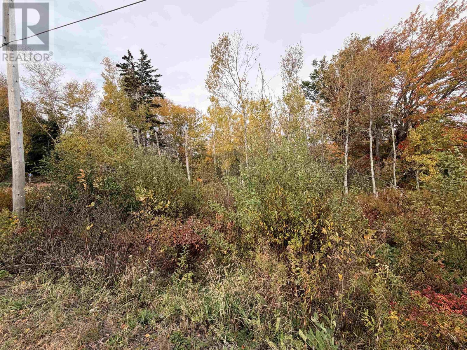 Lot 9 Brule Shore Road, Brule Shore, Nova Scotia  B0K 1V0 - Photo 10 - 202625344