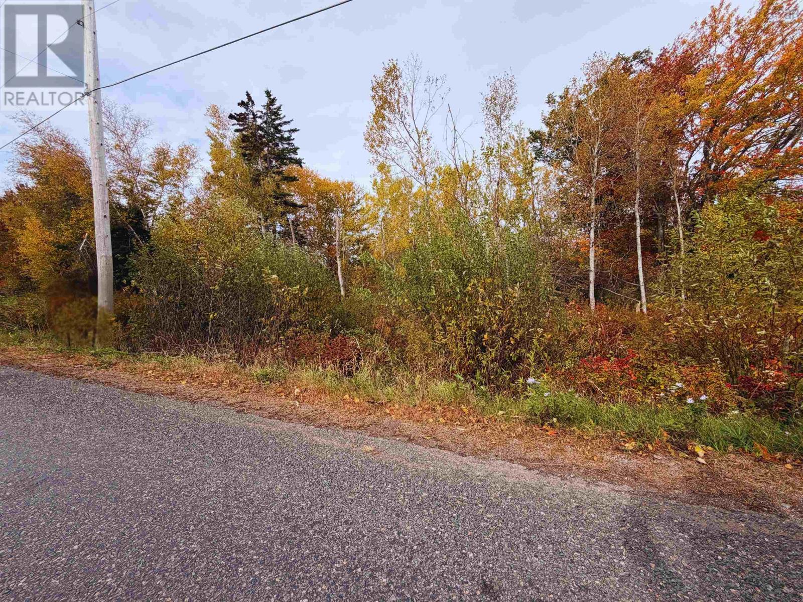 Lot 9 Brule Shore Road, Brule Shore, Nova Scotia  B0K 1V0 - Photo 2 - 202625344