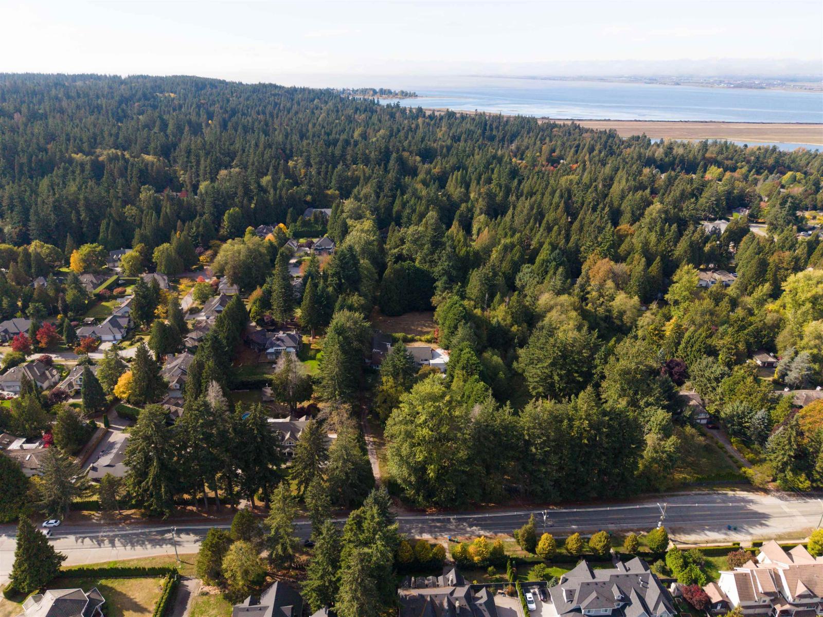3055 140 Street, Surrey, British Columbia  V4P 2C2 - Photo 4 - R3175474