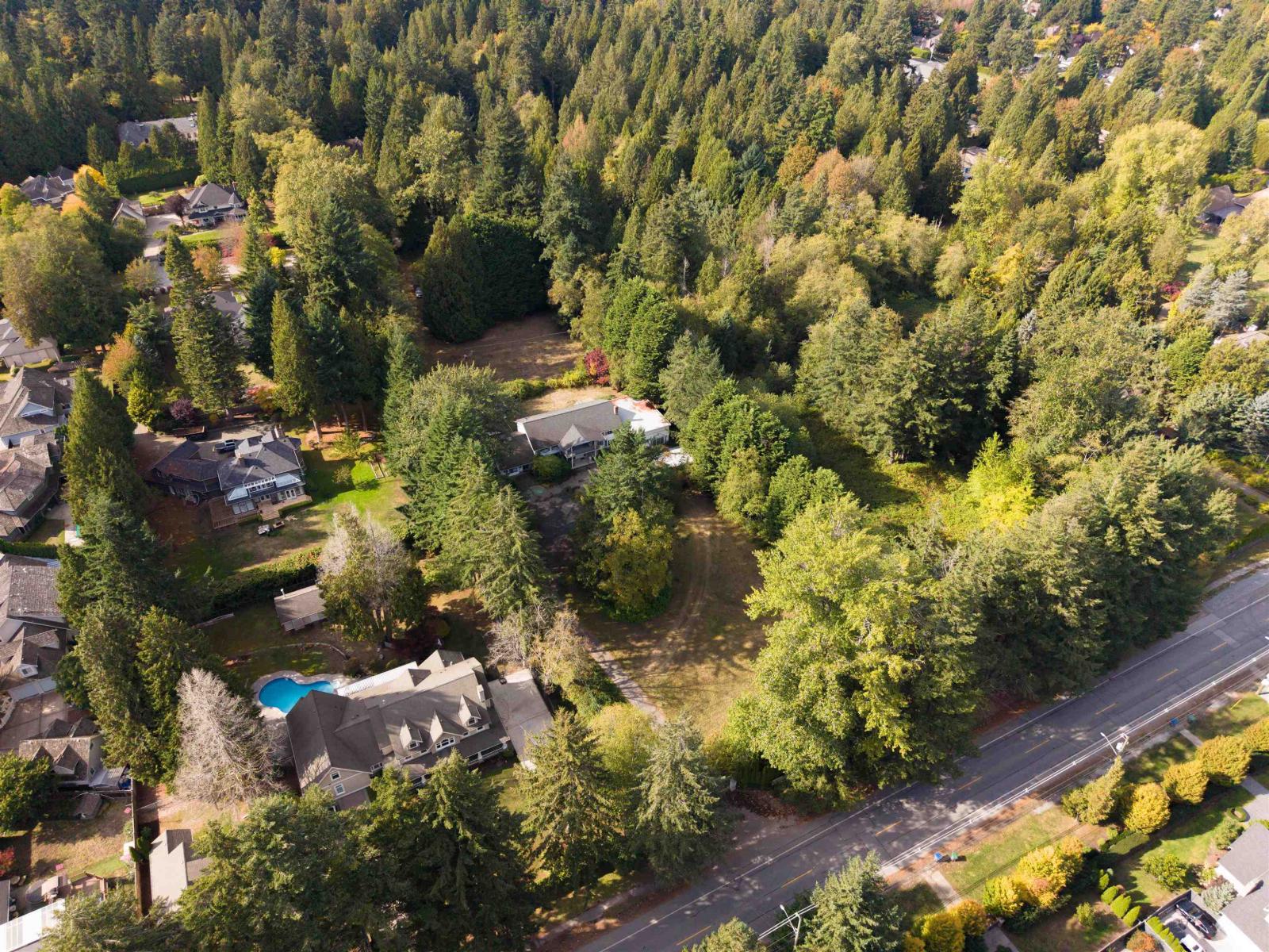 3055 140 Street, Surrey, British Columbia  V4P 2C2 - Photo 3 - R3175474