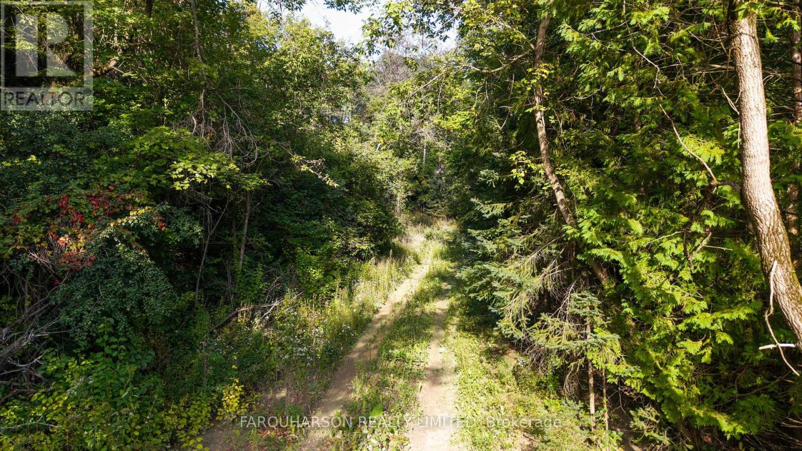16631 Mount Hope Road, Caledon, Ontario L7E 4A7 - Photo 6 - W13828724