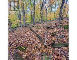 261 WESTPOINT SANDS ROAD, Huntsville, Ontario