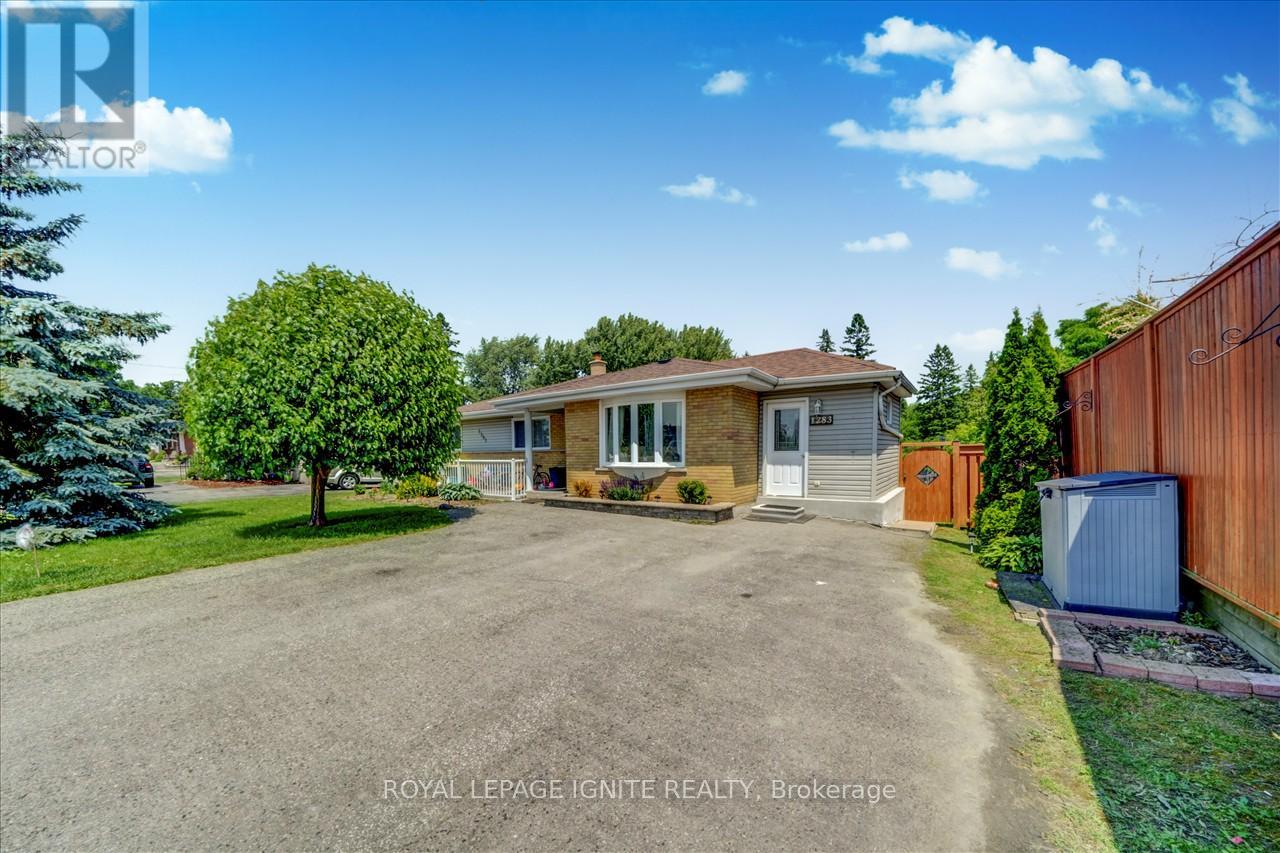 Bsmnt - 1283 Townline Road N, Clarington, Ontario  L1K 3E1 - Photo 2 - E14034418