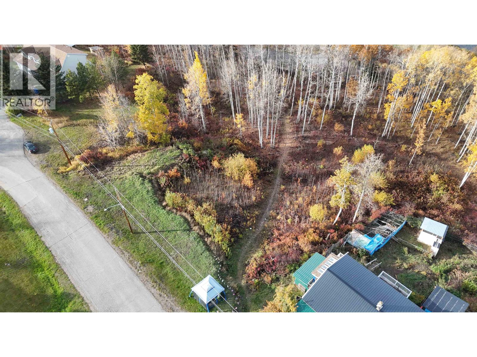 481 Simon Fraser Avenue, Fraser Lake, British Columbia  V0J 1S0 - Photo 6 - R3174961