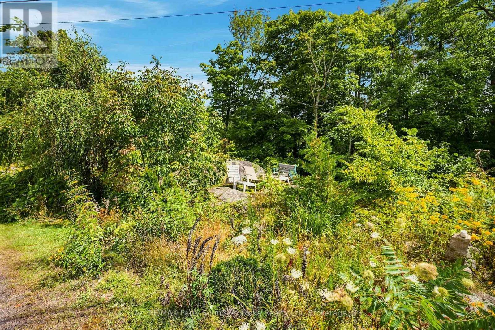 1115 Highway 124, Whitestone (Dunchurch), Ontario  P0A 1G0 - Photo 31 - X14034672