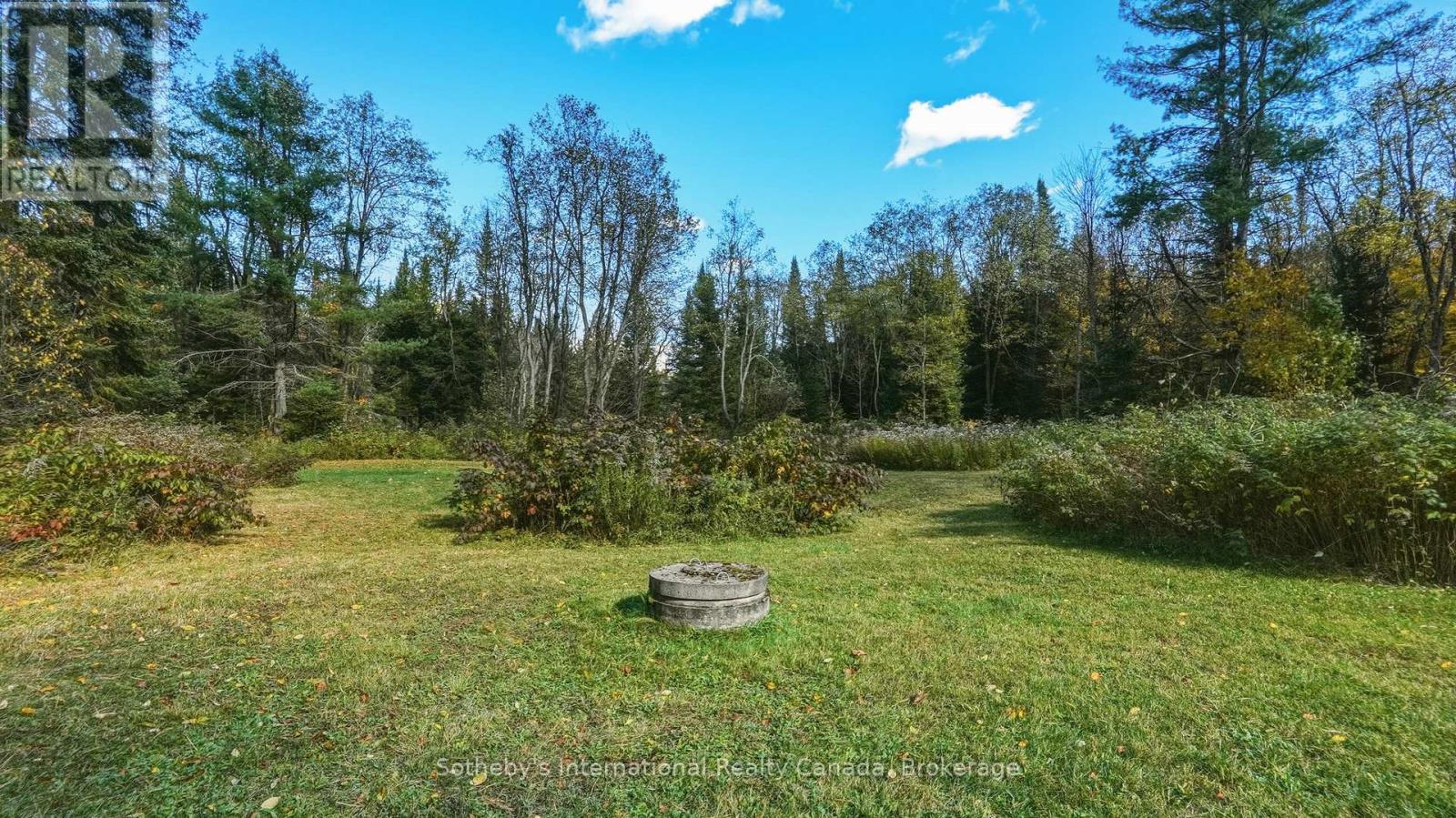 1229 Miriam Drive, Bracebridge, Ontario  P1L 1X1 - Photo 37 - X14034184