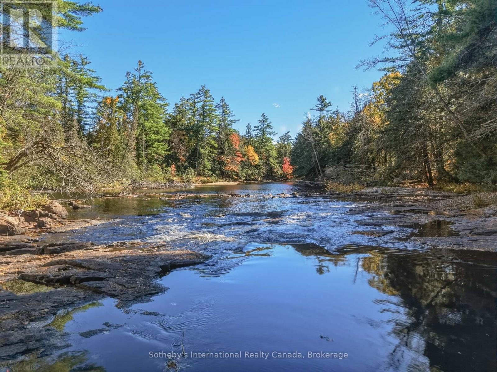 1229 Miriam Drive, Bracebridge, Ontario  P1L 1X1 - Photo 42 - X14034184