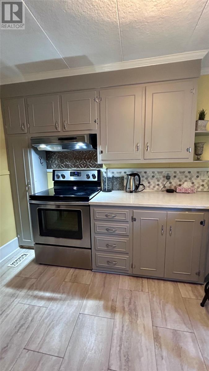 21 Riverview Road, Grand Falls-Windsor — photo 7