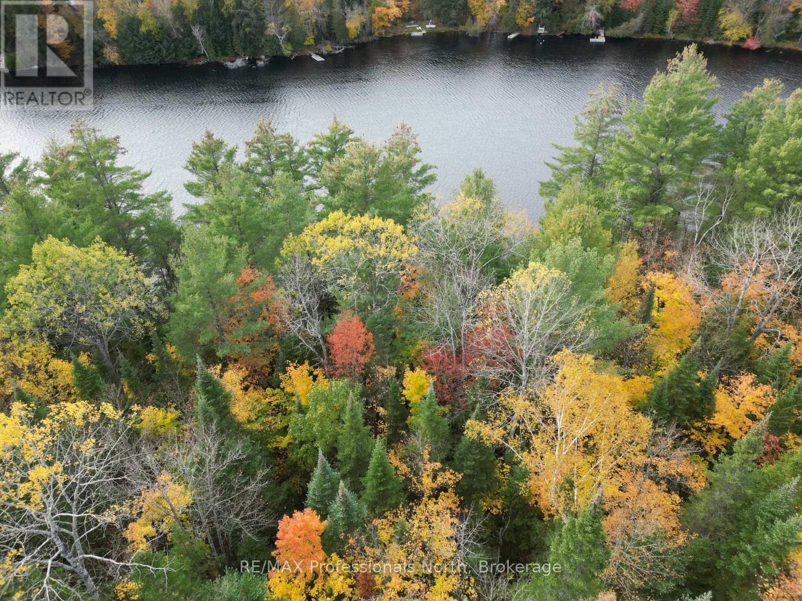 Tbd Rugged Lane, Minden Hills, Ontario  K0M 2K0 - Photo 10 - X14079882