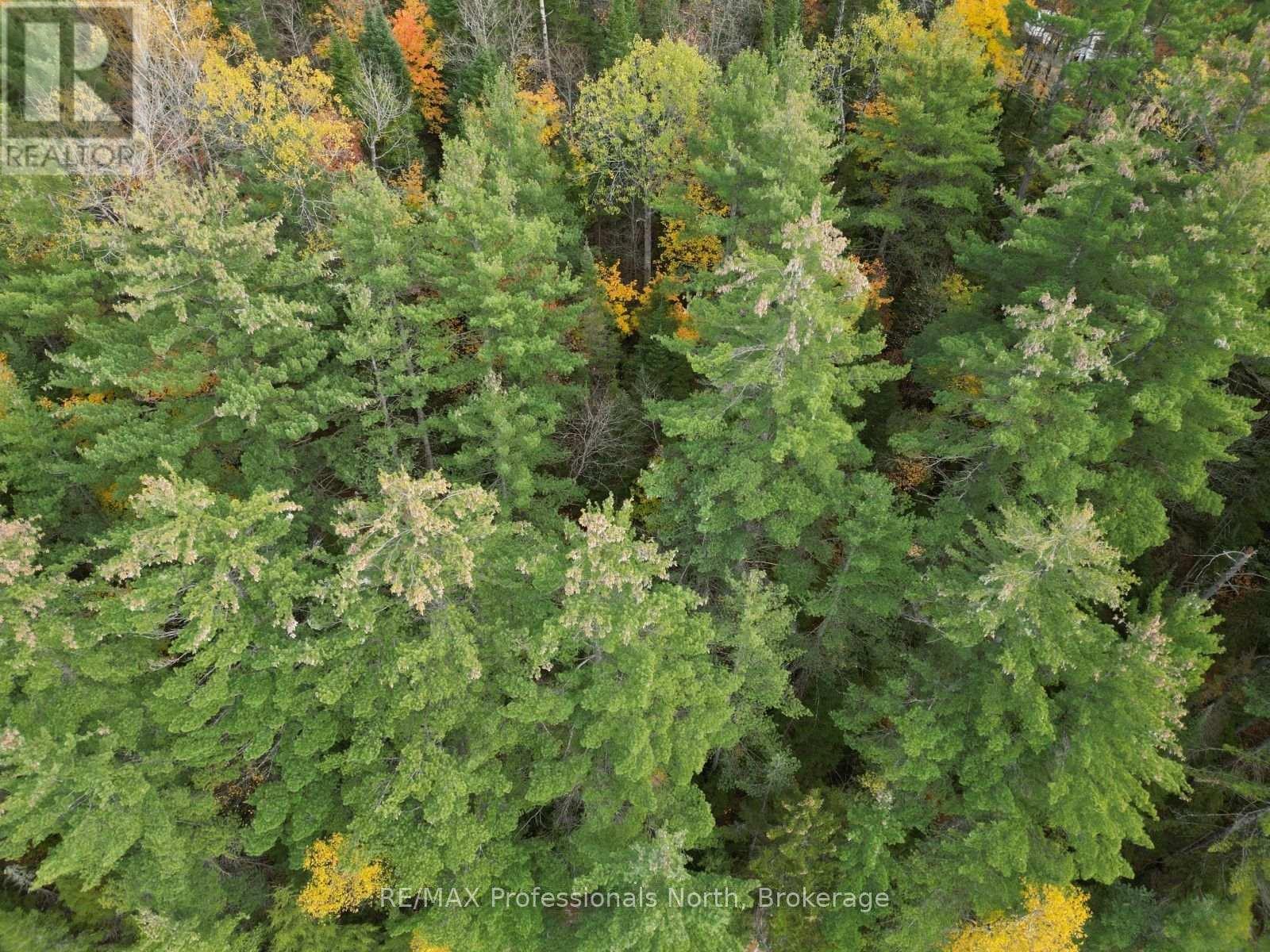 Tbd Rugged Lane, Minden Hills, Ontario  K0M 2K0 - Photo 15 - X14079882