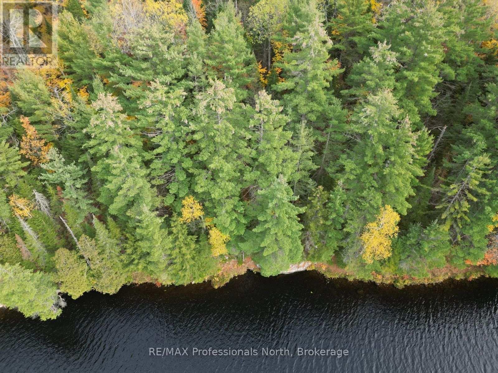 Tbd Rugged Lane, Minden Hills, Ontario  K0M 2K0 - Photo 16 - X14079882
