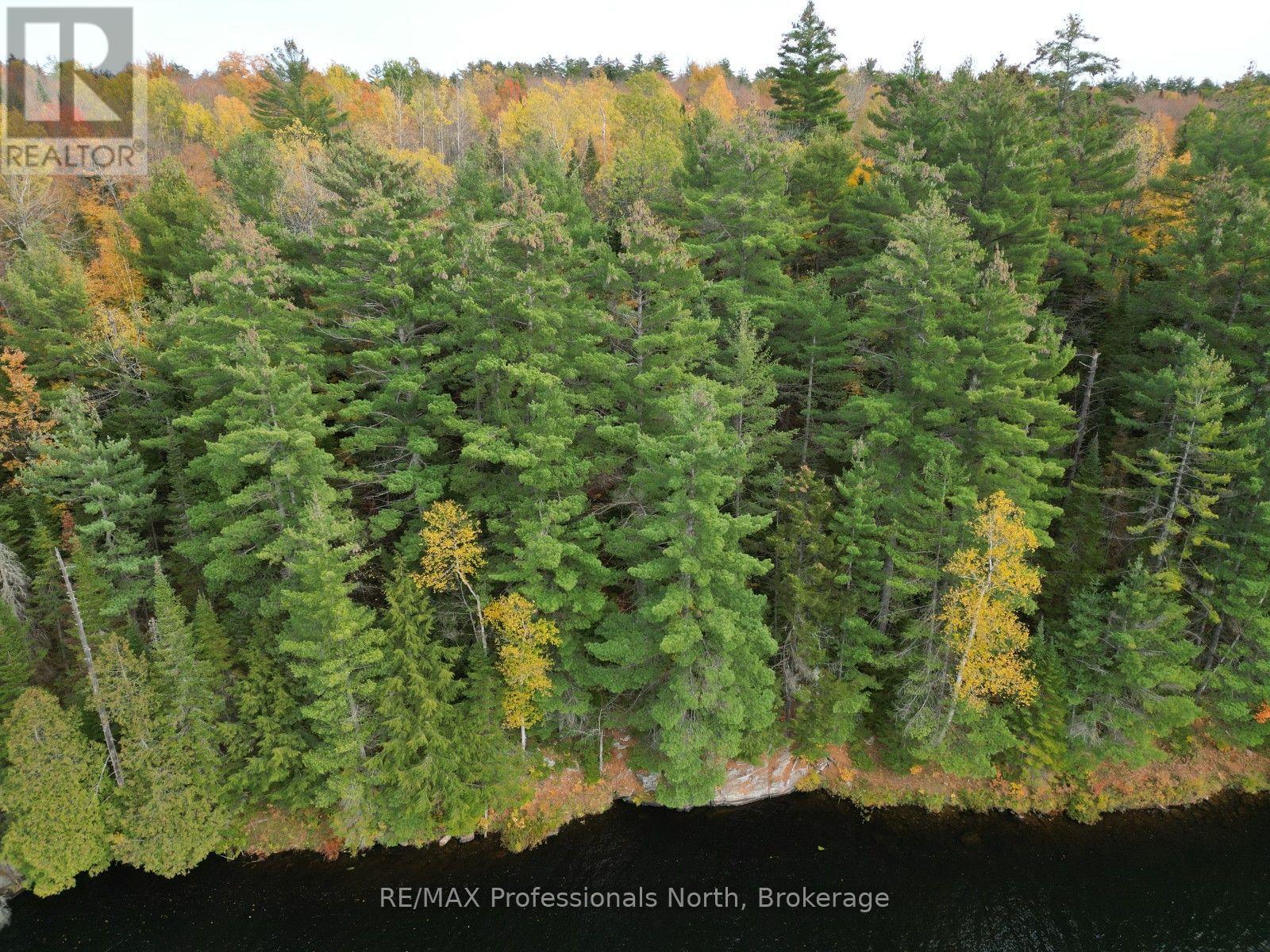 Tbd Rugged Lane, Minden Hills, Ontario  K0M 2K0 - Photo 19 - X14079882