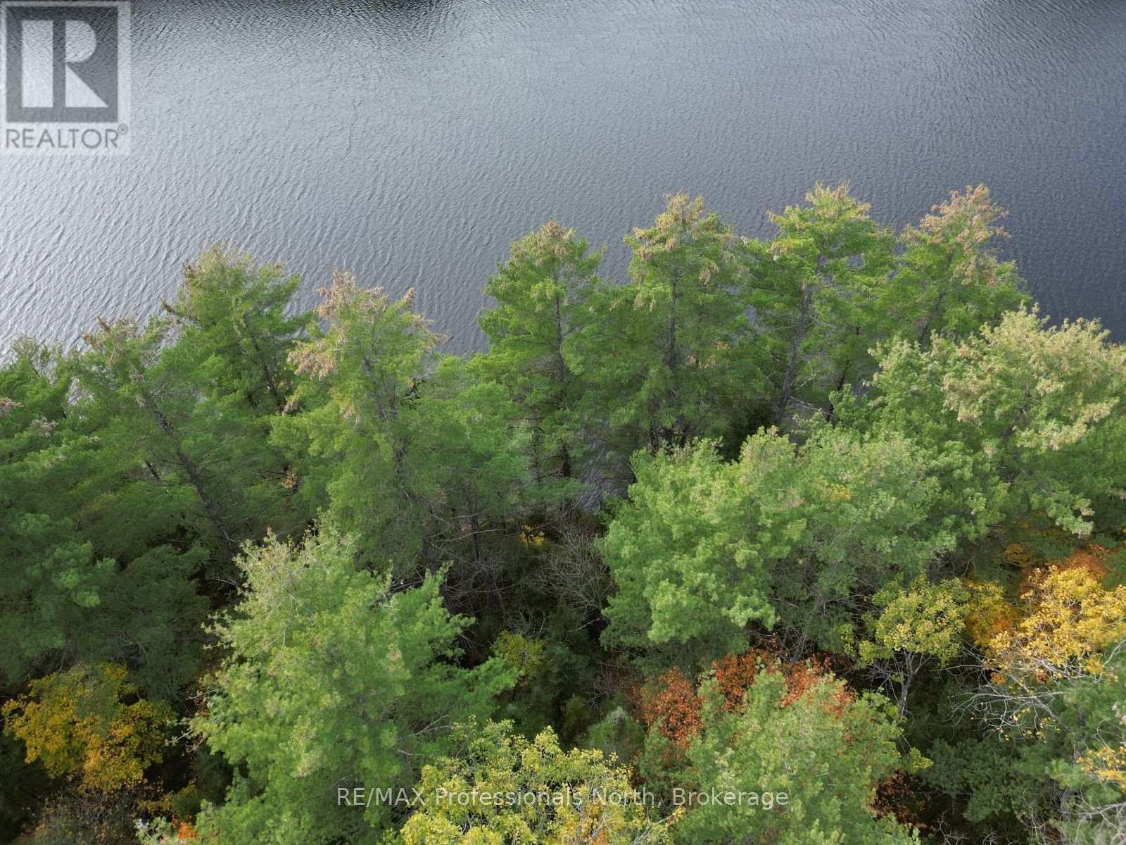Tbd Rugged Lane, Minden Hills, Ontario  K0M 2K0 - Photo 3 - X14079882