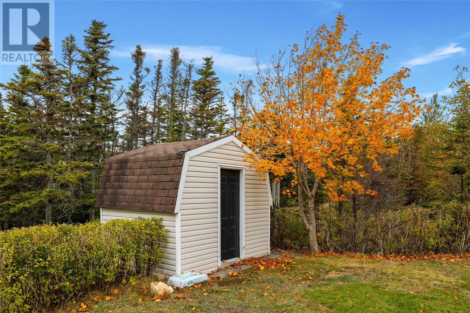 269 Bauline Line Extension, Portugal Cove/St. Philips — photo 35