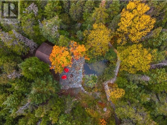 269 Bauline Line Extension, Portugal Cove/St. Philips — photo 38