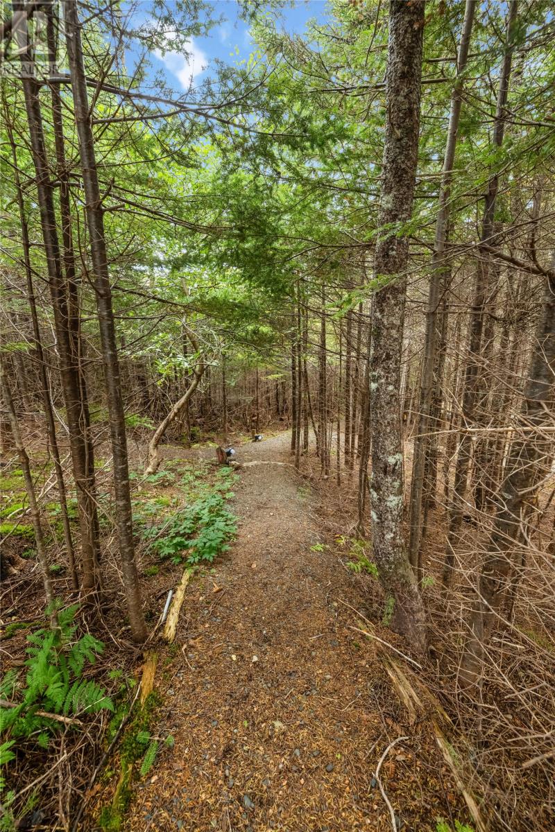 269 Bauline Line Extension, Portugal Cove/St. Philips — photo 40