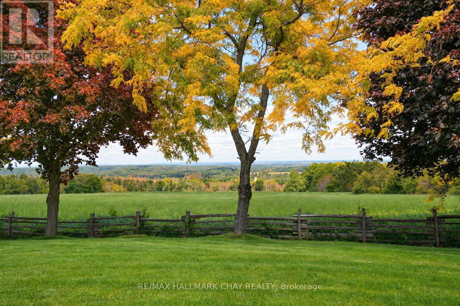 877065 Fifth Line, Mulmur, Ontario  L9V 0K3 - Photo 41 - X13790332