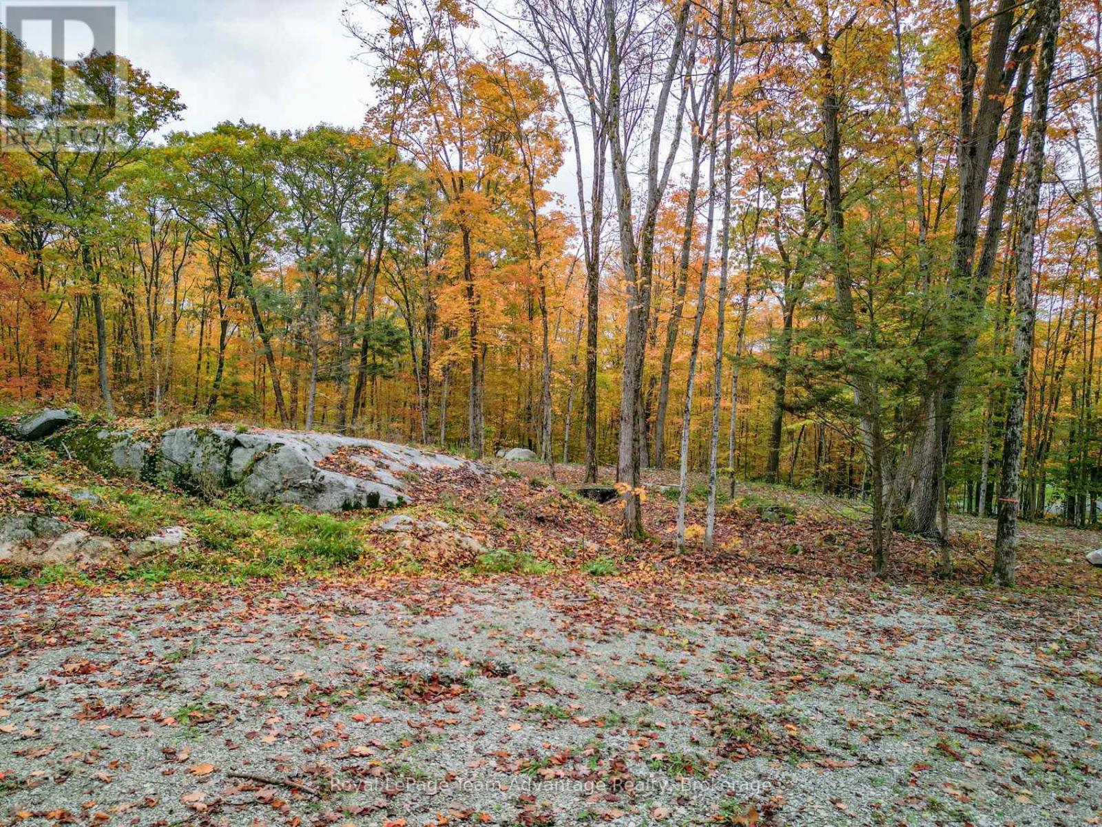 0 Mill Lake Trail, Mcdougall, Ontario  P2A 2W9 - Photo 12 - X12970400
