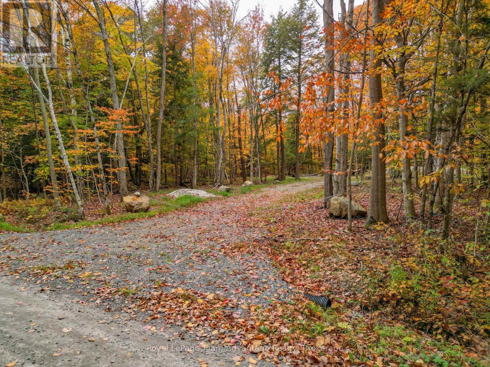 0 Mill Lake Trail, Mcdougall, Ontario  P2A 2W9 - Photo 3 - X12970400